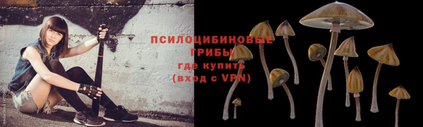 тгк Горнозаводск