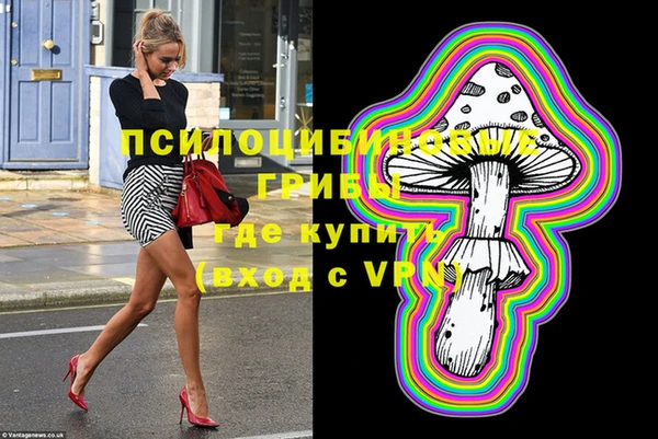 марки lsd Горняк