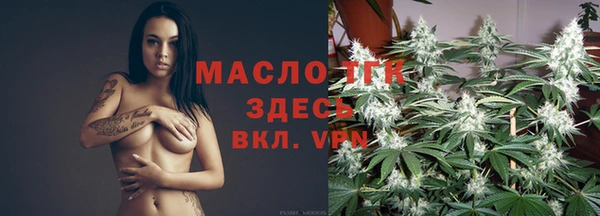 тгк Горнозаводск