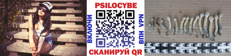 Галлюциногенные грибы Psilocybine cubensis  Мантурово 